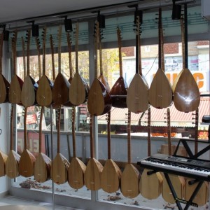 Deniz Müzik Merkezi: Piyano Kursu, Gitar Kursu, Keman Kursu, Bağlama Kursu