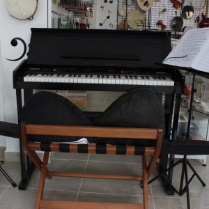 Deniz Müzik Merkezi: Piyano Kursu, Gitar Kursu, Keman Kursu, Bağlama Kursu