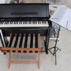 Deniz Müzik Merkezi: Piyano Kursu, Gitar Kursu, Keman Kursu, Bağlama Kursu