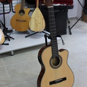 Deniz Müzik Merkezi: Piyano Kursu, Gitar Kursu, Keman Kursu, Bağlama Kursu